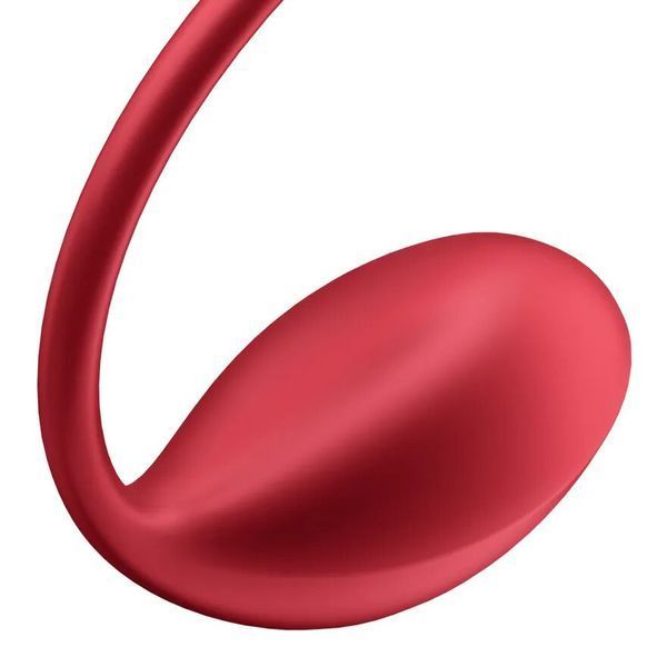 Смарт-віброяйце Satisfyer Shiny Petal Connect App, керування зі смартфона, пульт ДК SX1220 фото
