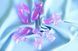 SO3601 фото 3