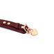 Нашийник з повідцем Liebe Seele Wine Red Curved Collar SO9463 фото 2