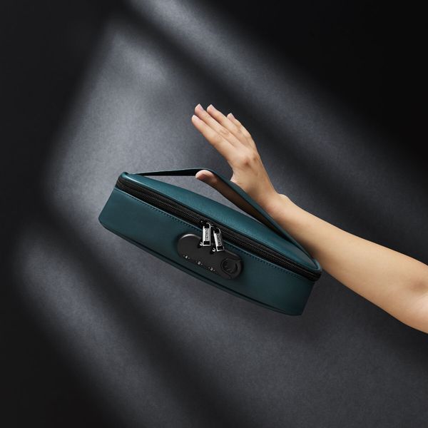 Кейс для секс-іграшок, розкішний зелений - Dorcel DISCREET BOX LUXURY GREEN SX1110 фото